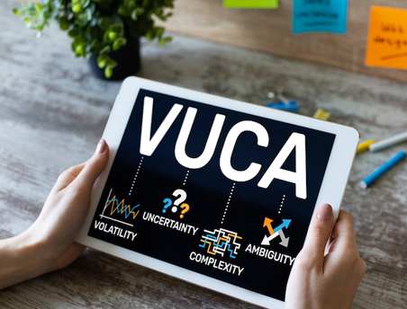 VUCA Leadership workshop & trainings.