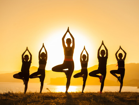 Yoga and Meditation  trainings